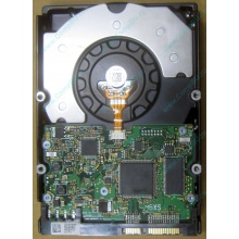 HDD Sun 500G 500Gb в Иваново, FRU 540-7889-01 в Иваново, BASE 390-0383-04 в Иваново, AssyID 0069FMT-1010 в Иваново, HUA7250SBSUN500G (Иваново)