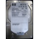 HP 454228-001 146Gb 15k SAS HDD (Иваново)