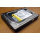 Жесткий диск 160Gb WD WD1602ABKS SATA (Иваново)